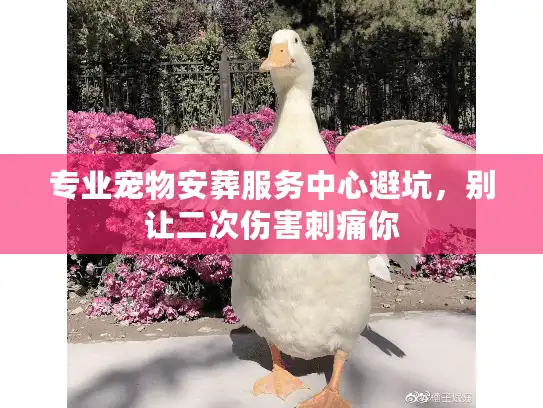 专业宠物安葬服务中心避坑,别让二次伤害刺痛你 专业宠物安葬服务中心避坑,别让二次伤害刺痛你