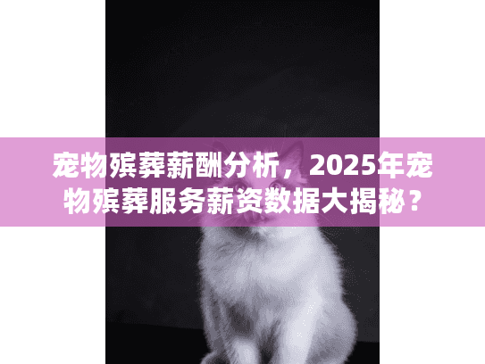 宠物殡葬薪酬分析，2025年宠物殡葬服务薪资数据大揭秘？