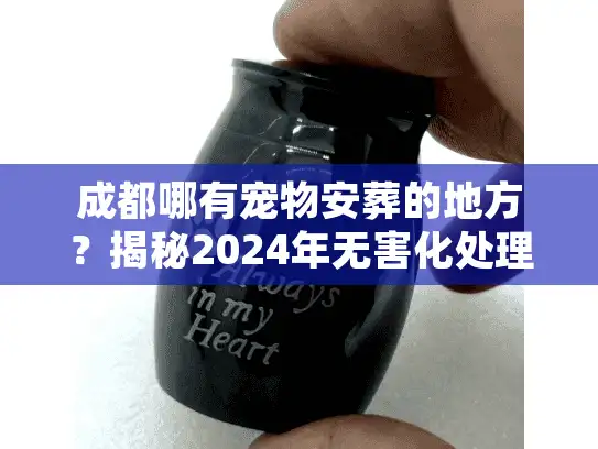 成都哪有宠物安葬的地方?揭秘2024年无害化处理新规与避坑术 成都哪有宠物安葬的地方?揭秘2024年无害化处理新规与避坑术
