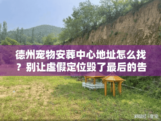 德州宠物安葬中心地址怎么找？别让虚假定位毁了最后的告别