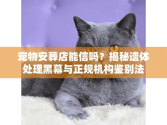 宠物安葬店能信吗?揭秘遗体处理黑幕与正规机构鉴别法 宠物安葬店能信吗?揭秘遗体处理黑幕与正规机构鉴别法