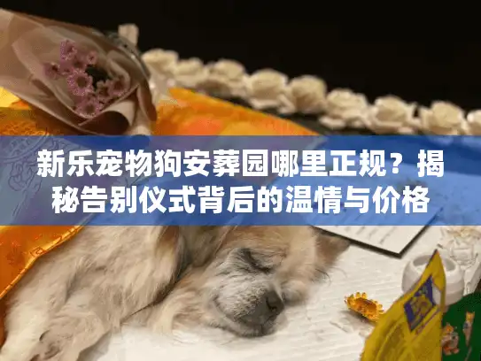 新乐宠物狗安葬园哪里正规？揭秘告别仪式背后的温情与价格
