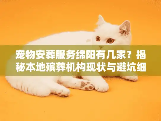 宠物安葬服务绵阳有几家？揭秘本地殡葬机构现状与避坑细节