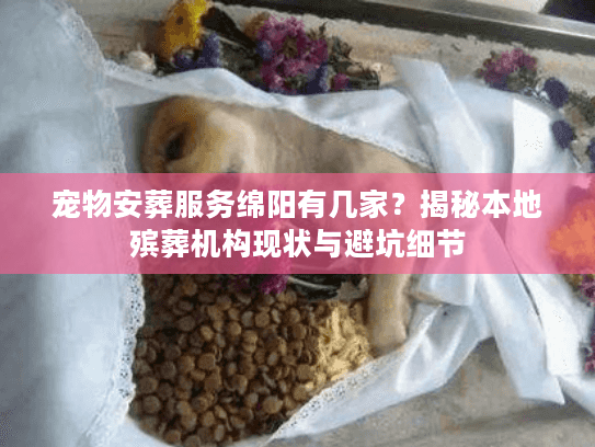 宠物安葬服务绵阳有几家？揭秘本地殡葬机构现状与避坑细节