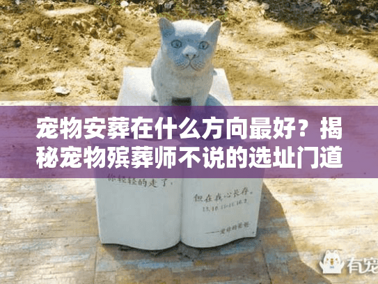 宠物安葬在什么方向最好？揭秘宠物殡葬师不说的选址门道