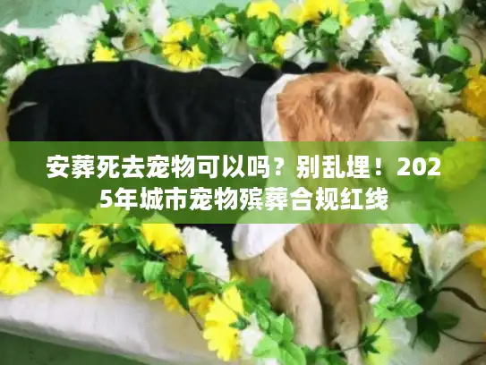 安葬死去宠物可以吗?别乱埋!2025年城市宠物殡葬合规红线 安葬死去宠物可以吗?别乱埋!2025年城市宠物殡葬合规红线