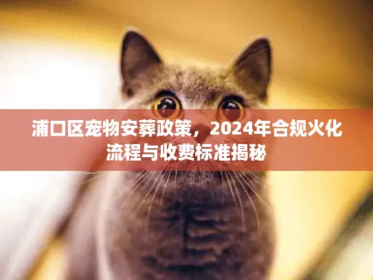 浦口区宠物安葬政策,2024年合规火化流程与收费标准揭秘 浦口区宠物安葬政策,2024年合规火化流程与收费标准揭秘