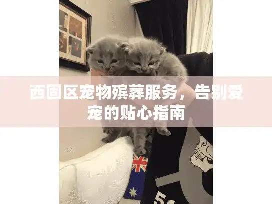 西固区宠物殡葬服务,告别爱宠的贴心指南 西固区宠物殡葬服务,告别爱宠的贴心指南