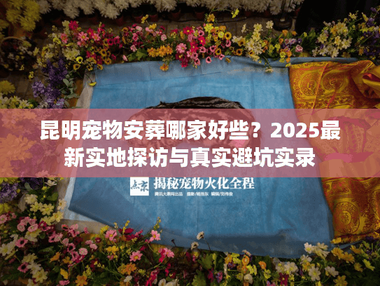 昆明宠物安葬哪家好些？2025最新实地探访与真实避坑实录