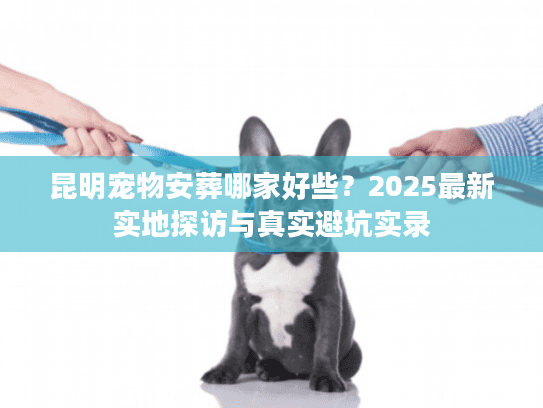 昆明宠物安葬哪家好些？2025最新实地探访与真实避坑实录