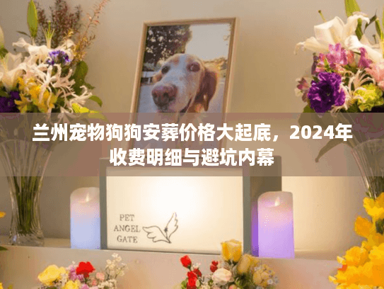 兰州宠物狗狗安葬价格大起底,2024年收费明细与避坑内幕 兰州宠物狗狗安葬价格大起底,2024年收费明细与避坑内幕