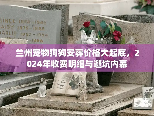 兰州宠物狗狗安葬价格大起底,2024年收费明细与避坑内幕 兰州宠物狗狗安葬价格大起底,2024年收费明细与避坑内幕