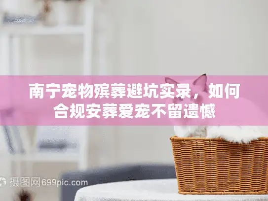 南宁宠物殡葬避坑实录，如何合规安葬爱宠不留遗憾