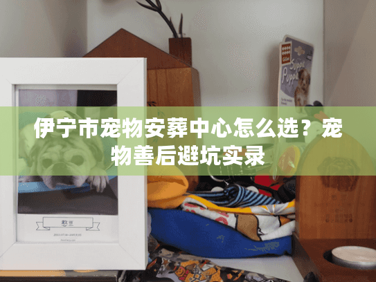 伊宁市宠物安葬中心怎么选？宠物善后避坑实录