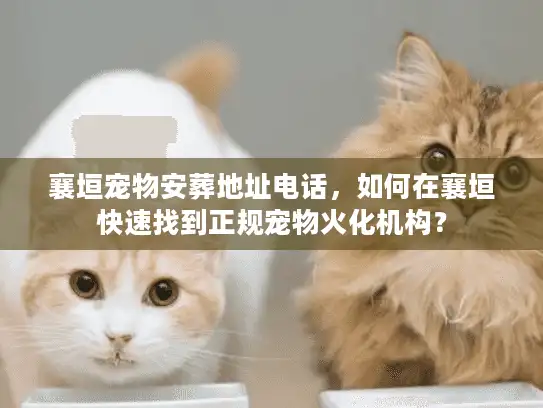 襄垣宠物安葬地址电话，如何在襄垣快速找到正规宠物火化机构？