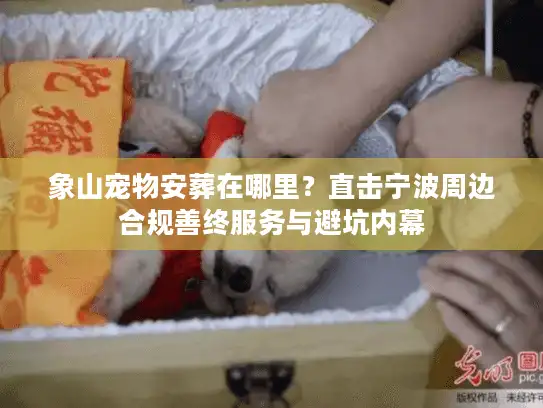 象山宠物安葬在哪里？直击宁波周边合规善终服务与避坑内幕