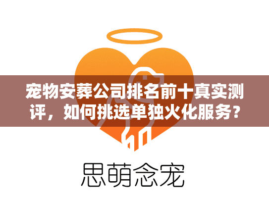 宠物安葬公司排名前十真实测评，如何挑选单独火化服务？