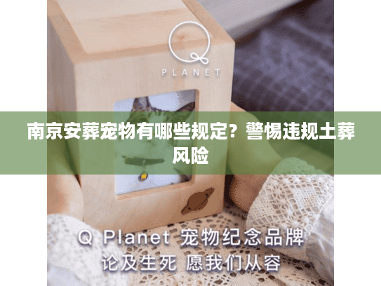 南京安葬宠物有哪些规定？警惕违规土葬风险