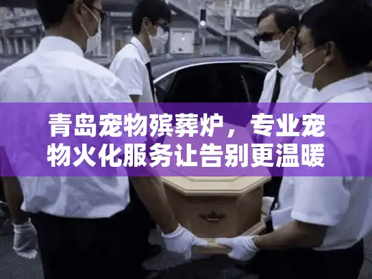 青岛宠物殡葬炉，专业宠物火化服务让告别更温暖