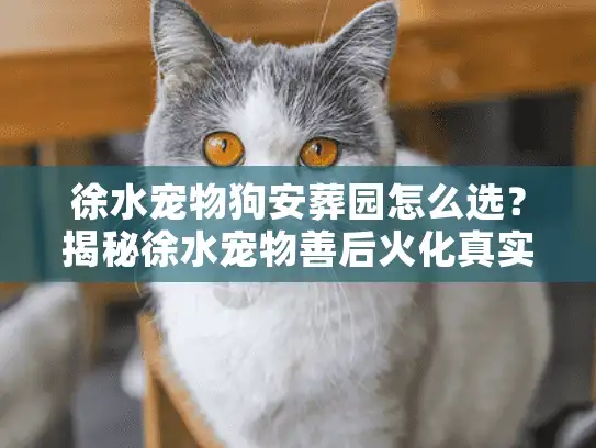 徐水宠物狗安葬园怎么选?揭秘徐水宠物善后火化真实内幕 徐水宠物狗安葬园怎么选?揭秘徐水宠物善后火化真实内幕