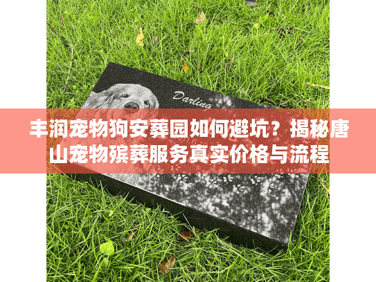 丰润宠物狗安葬园如何避坑？揭秘唐山宠物殡葬服务真实价格与流程
