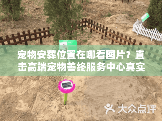 宠物安葬位置在哪看图片？直击高端宠物善终服务中心真实环境