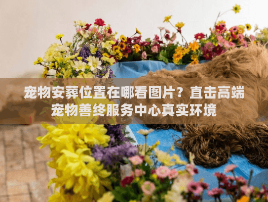 宠物安葬位置在哪看图片？直击高端宠物善终服务中心真实环境