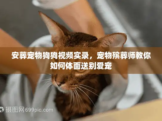 安葬宠物狗狗视频实录,宠物殡葬师教你如何体面送别爱宠 安葬宠物狗狗视频实录,宠物殡葬师教你如何体面送别爱宠