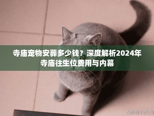 寺庙宠物安葬多少钱？深度解析2024年寺庙往生位费用与内幕