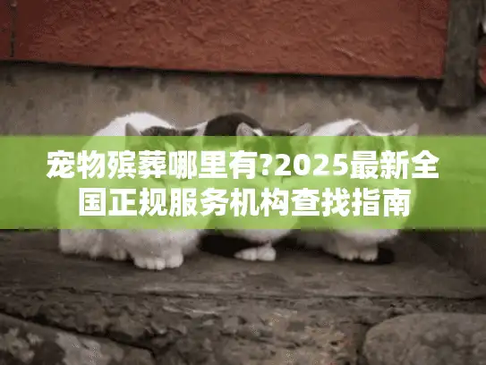 宠物殡葬哪里有?2025最新全国正规服务机构查找指南