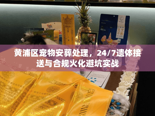 黄浦区宠物安葬处理，24/7遗体接送与合规火化避坑实战