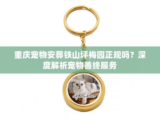 重庆宠物安葬铁山坪梅园正规吗?深度解析宠物善终服务 重庆宠物安葬铁山坪梅园正规吗?深度解析宠物善终服务