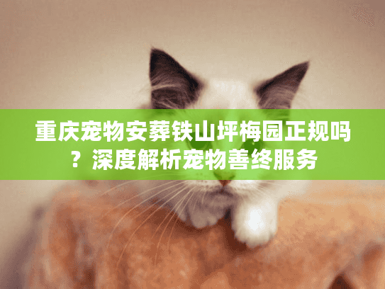 重庆宠物安葬铁山坪梅园正规吗?深度解析宠物善终服务 重庆宠物安葬铁山坪梅园正规吗?深度解析宠物善终服务