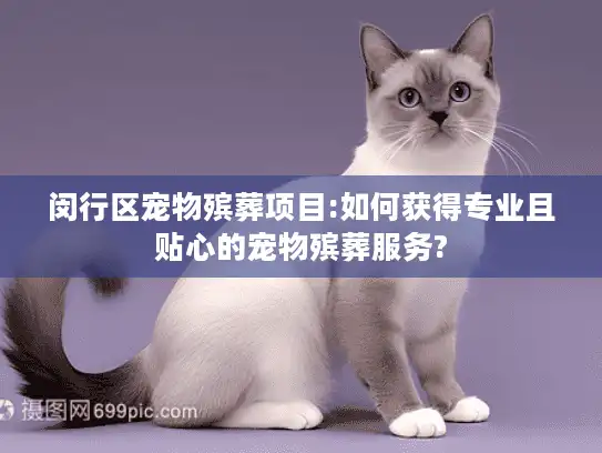 闵行区宠物殡葬项目:如何获得专业且贴心的宠物殡葬服务?