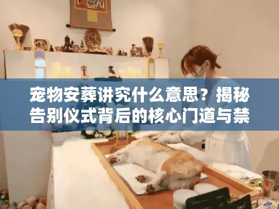 宠物安葬讲究什么意思？揭秘告别仪式背后的核心门道与禁忌