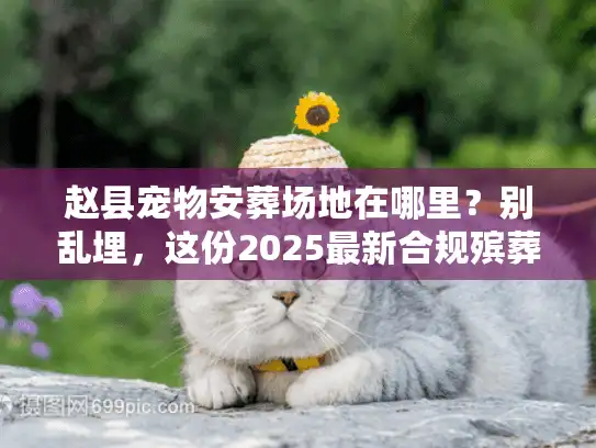 赵县宠物安葬场地在哪里？别乱埋，这份2025最新合规殡葬名单请收好