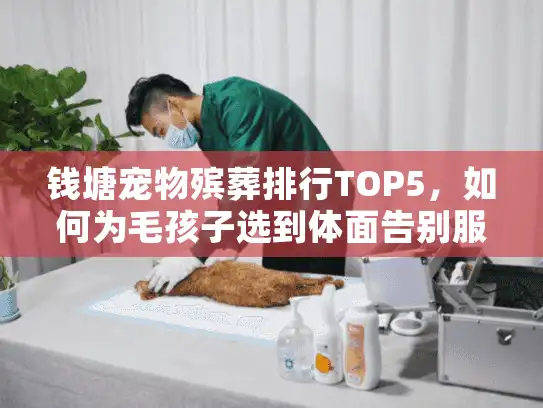 钱塘宠物殡葬排行TOP5，如何为毛孩子选到体面告别服务？