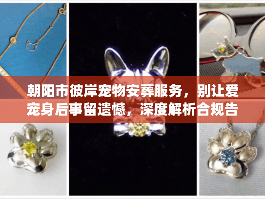 朝阳市彼岸宠物安葬服务,别让爱宠身后事留遗憾,深度解析合规告别 朝阳市彼岸宠物安葬服务,别让爱宠身后事留遗憾,深度解析合规告别