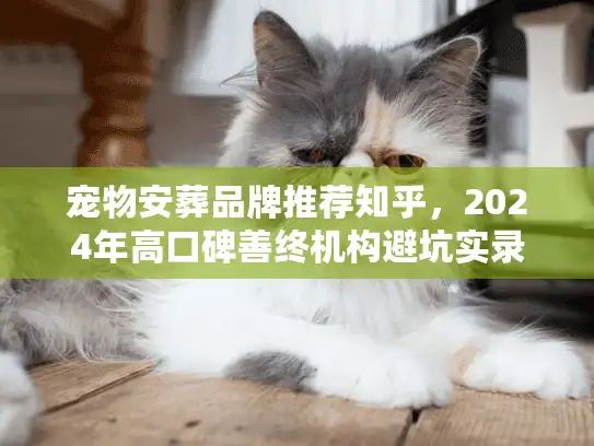 宠物安葬品牌推荐知乎，2024年高口碑善终机构避坑实录