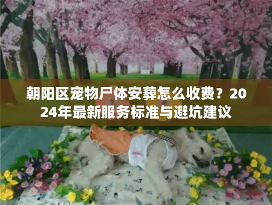 朝阳区宠物尸体安葬怎么收费？2024年最新服务标准与避坑建议