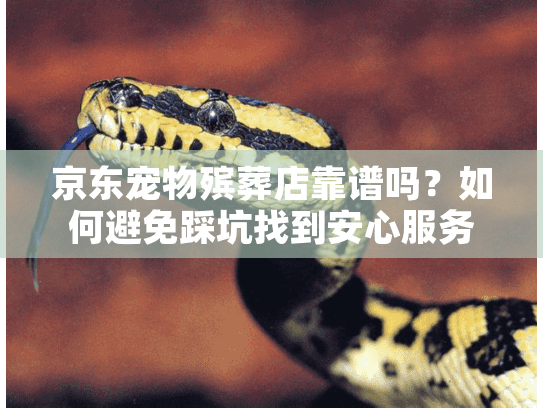 京东宠物殡葬店靠谱吗?如何避免踩坑找到安心服务 京东宠物殡葬店靠谱吗?如何避免踩坑找到安心服务