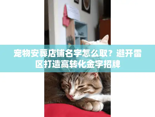宠物安葬店铺名字怎么取？避开雷区打造高转化金字招牌