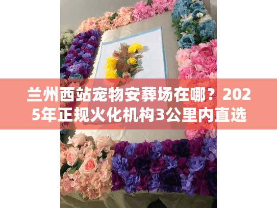 兰州西站宠物安葬场在哪?2025年正规火化机构3公里内直选 兰州西站宠物安葬场在哪?2025年正规火化机构3公里内直选