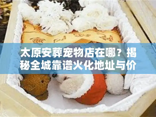 太原安葬宠物店在哪?揭秘全城靠谱火化地址与价格内幕 太原安葬宠物店在哪?揭秘全城靠谱火化地址与价格内幕