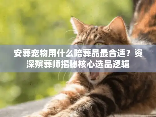 安葬宠物用什么陪葬品最合适？资深殡葬师揭秘核心选品逻辑