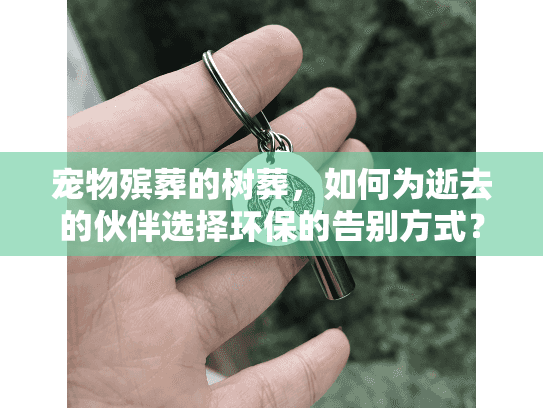 宠物殡葬的树葬，如何为逝去的伙伴选择环保的告别方式？