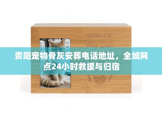 贵阳宠物骨灰安葬电话地址,全城网点24小时救援与归宿 贵阳宠物骨灰安葬电话地址,全城网点24小时救援与归宿