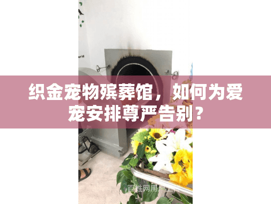 织金宠物殡葬馆,如何为爱宠安排尊严告别? 织金宠物殡葬馆,如何为爱宠安排尊严告别?