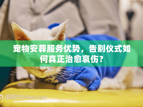 宠物安葬服务优势，告别仪式如何真正治愈哀伤？