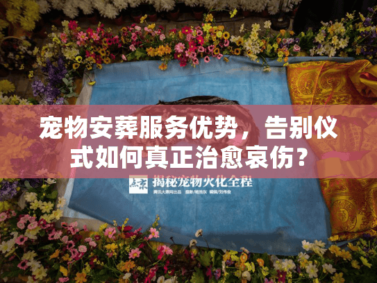 宠物安葬服务优势，告别仪式如何真正治愈哀伤？